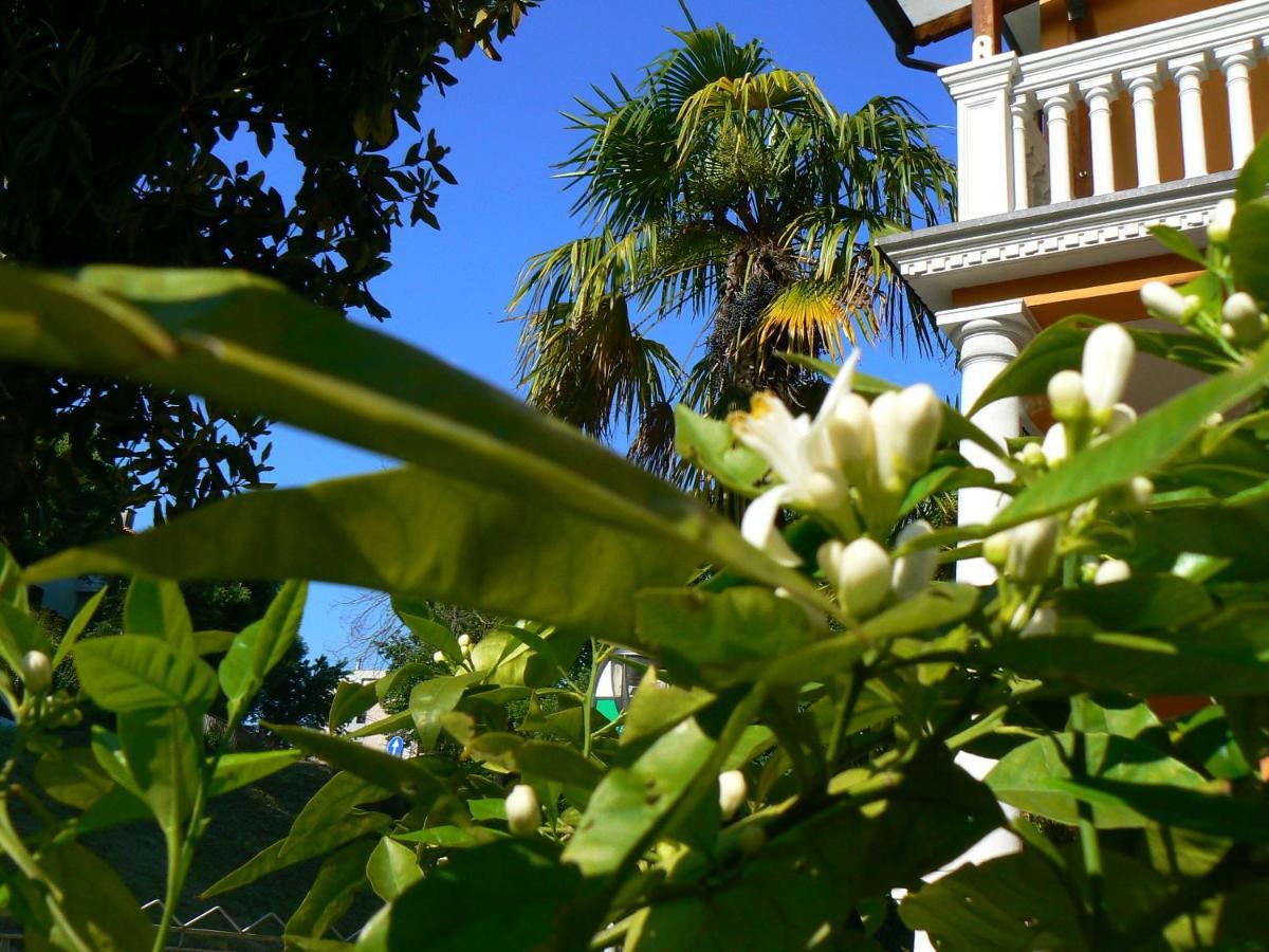 B&B Aquilone Ουρμπίνο Εξωτερικό φωτογραφία